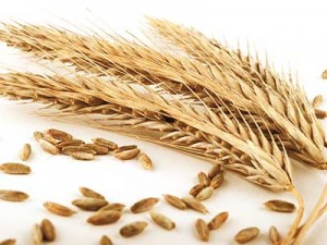 Health Benefits of Whole Wheat