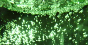 Health Disadvantages of Drinking Carbonated Drinks