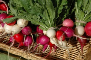 Health Advantages of Radish